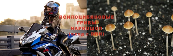 мефедрон мука Новодвинск