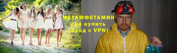 прущие грибы Нягань