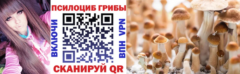 Галлюциногенные грибы Psilocybine cubensis  Купить  Казань 
